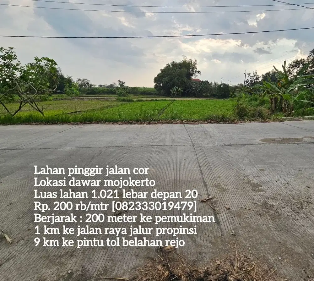 Tanah nol jalan cor dawar mojokerto