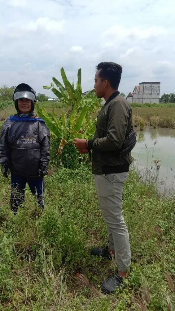 Mari Investasi Tanah Uk. 8x14m Di Buncitan Dekat Griya Tawang Alun SDA