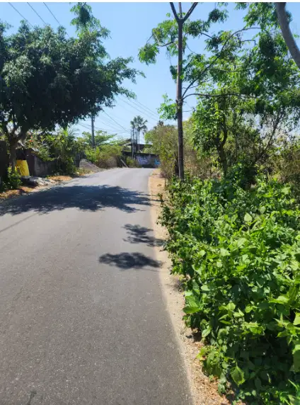 tanah murah jalan utama goagong