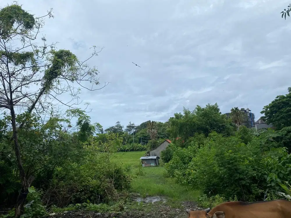 Dijual Tanah Area Brawa Canggu
