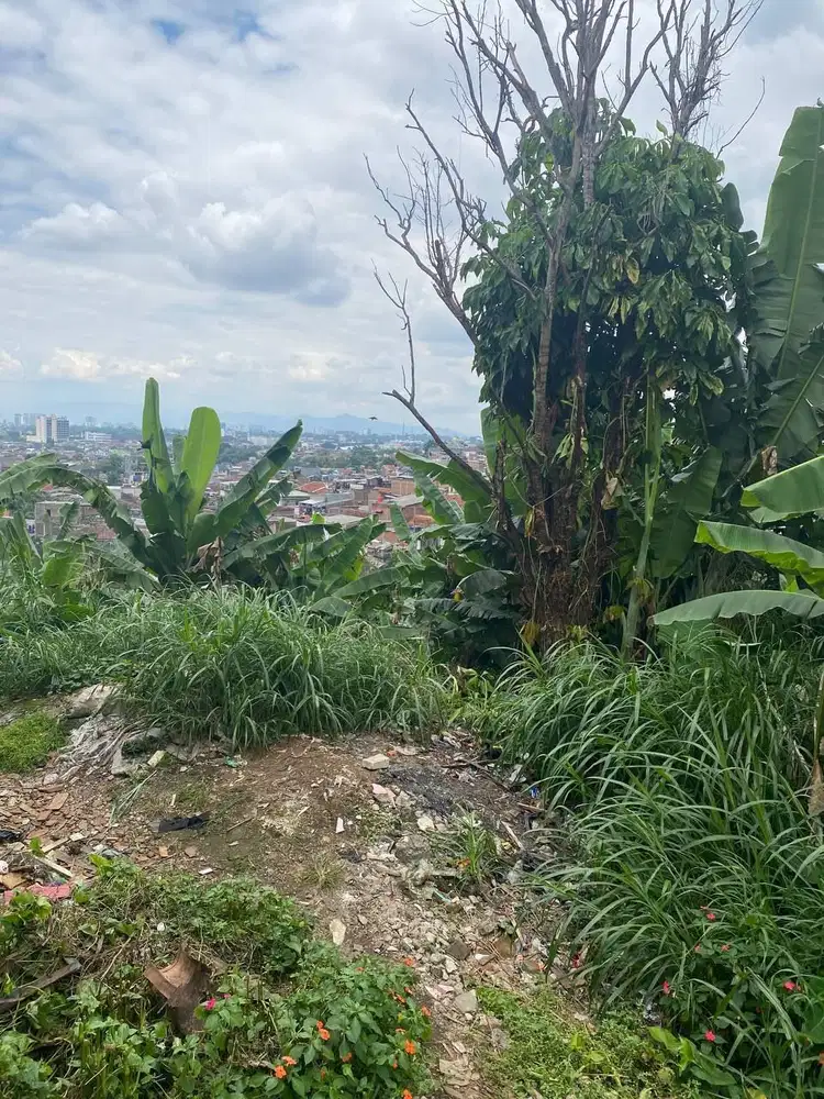 Tanah Murah di Jl Pasir Honje Padasuka Cimenyan Cocok untuk Investasi