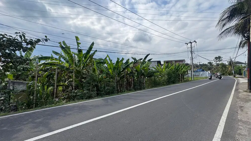 tanah murah di jalan utama tumbak bayuh canggu, lokasi strategis