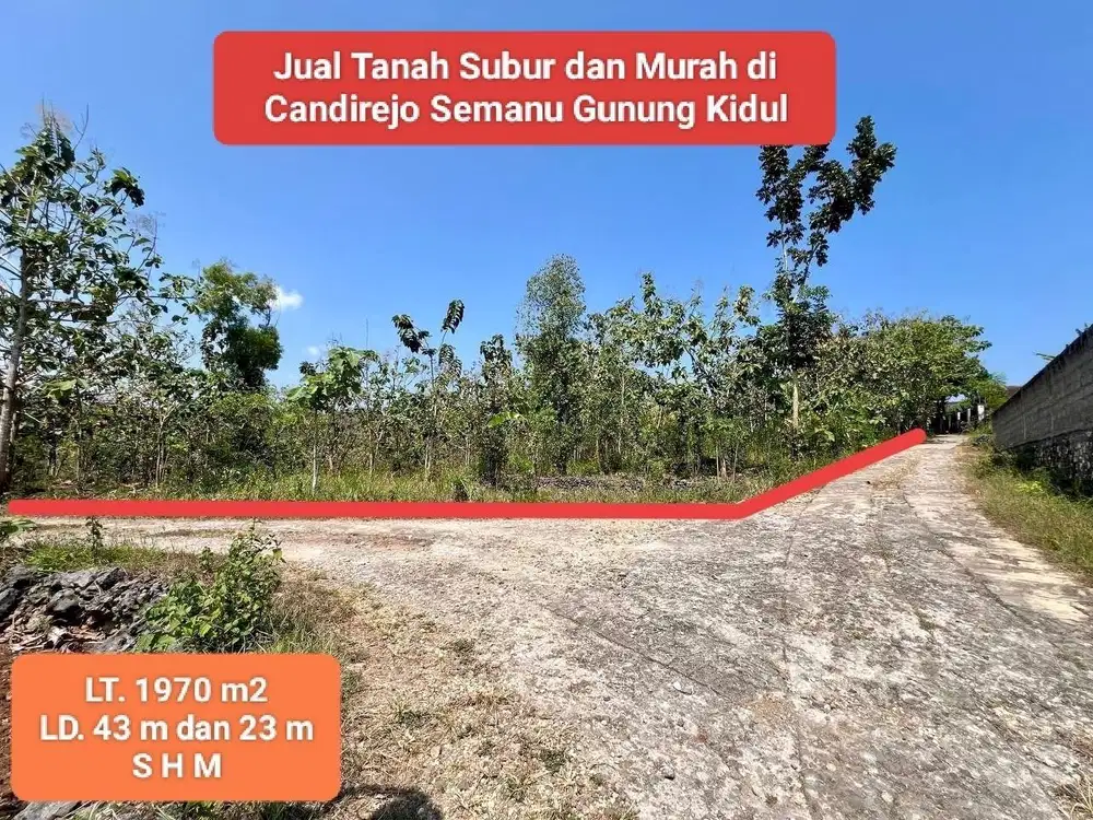 Dijual tanah murah di semanu gunung kidul subur dan strategis