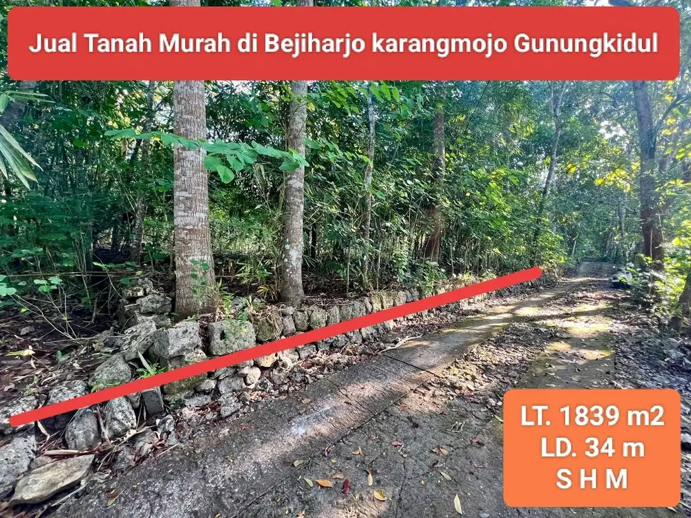 Dijual tanah murah di Bejiharjo Gunungkidul kebun jati dekat wisata