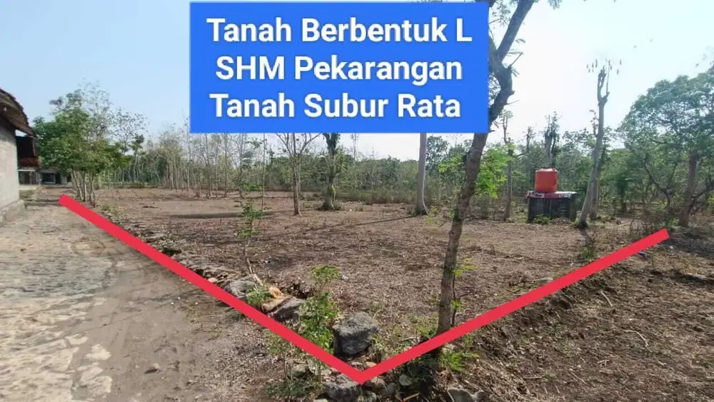 Jual Tanah Pekarangan murah di Ngawis Karangmojo Gunung Kidul