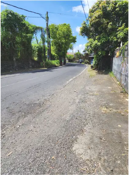 Tanah Murah 85 Are Bonus Bangunan diSingapadu Ubud Gianyar