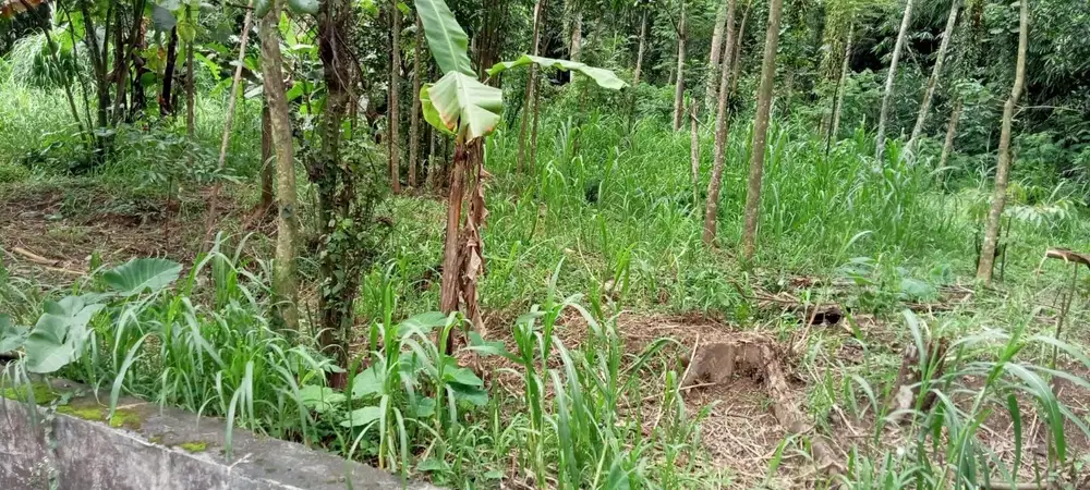 Dijual Tanah Lokasi Strategis Di Jl. Lingkar Selatan Salatiga