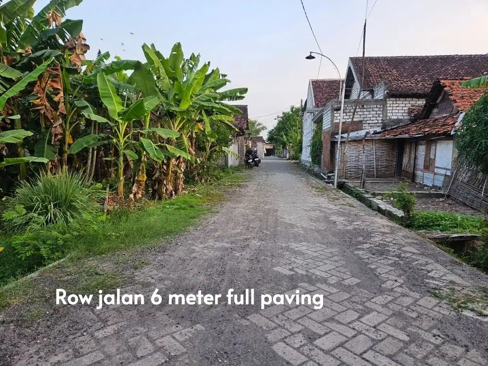 50 juta, Tanah pekarangan di tengah pemukiman. Termurah di kelasnya...