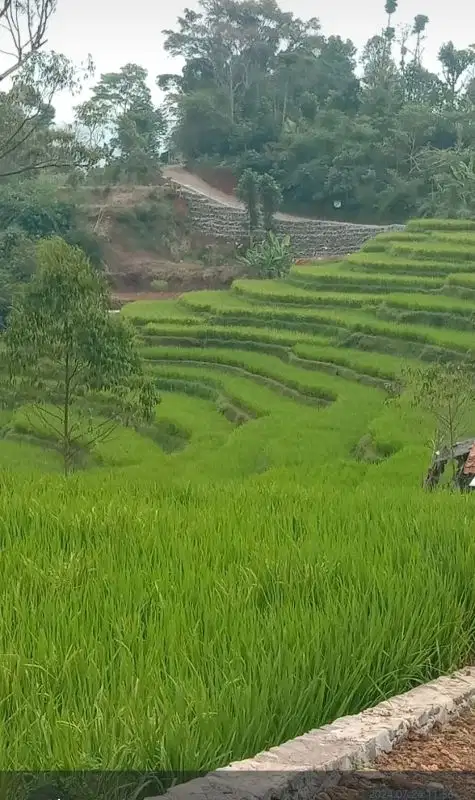 JUAL CEPAT TANAH MURAH CIMAUNG BANDUNG SELATAN