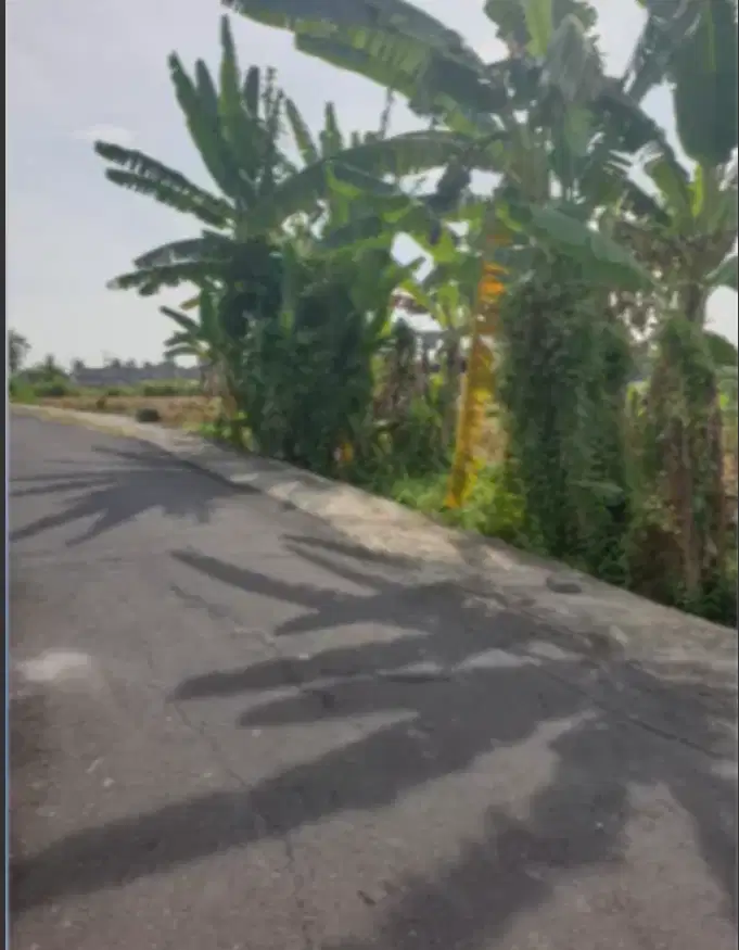 TANAH DI JL TUMBAK BAYU MENGWI BADUNG BALI