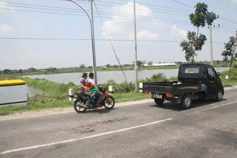 Tambak aktif udang,bandeng,nila,mujaer di Gresik