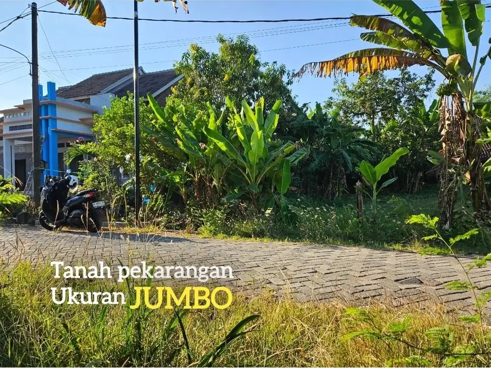 Tanah pekarangan ukuran jumbo