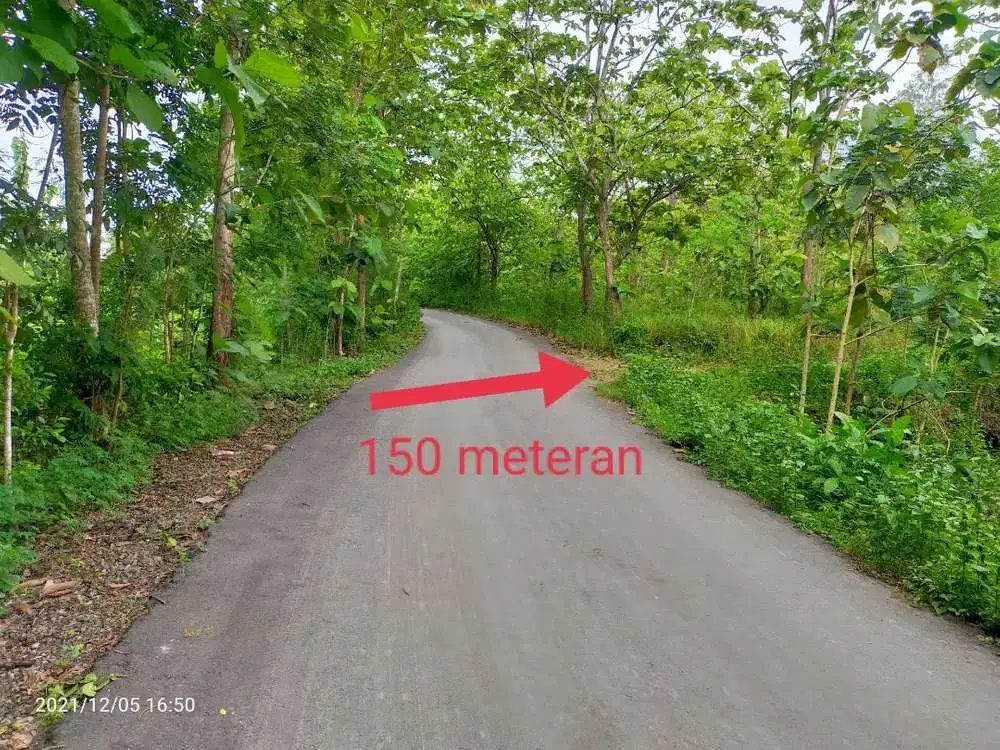 Tanah murah strategis dekat wisatadi Bejiharjo Karangmojo Gunungkidul