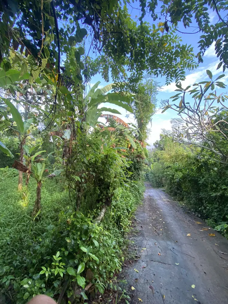 Jual tanah tabanan kediri dekat bypas kediri