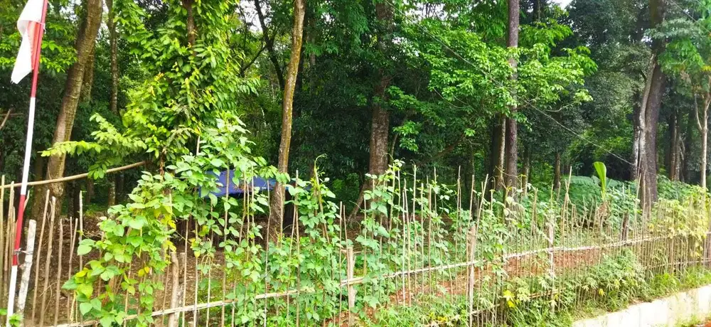 Dijual Tanah pinggir jalan besar  murah Palembang