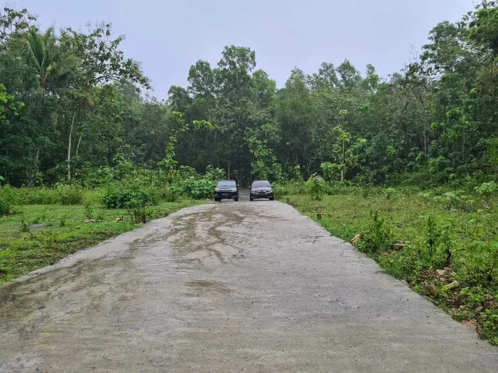 Tanah Jogja 10 menit Kampus UNY Wates; Notaris