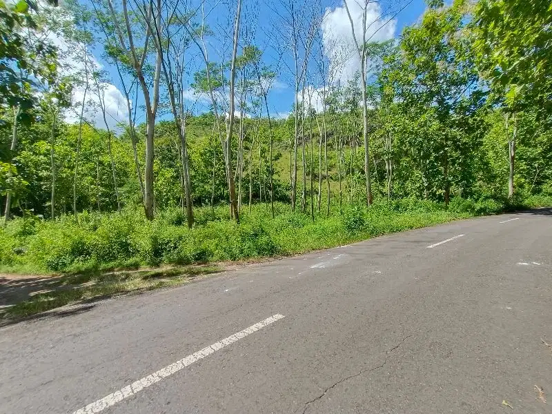 Jual tanah murah mangku jalan raya di Sumberwungu Tepus Gunung Kidul