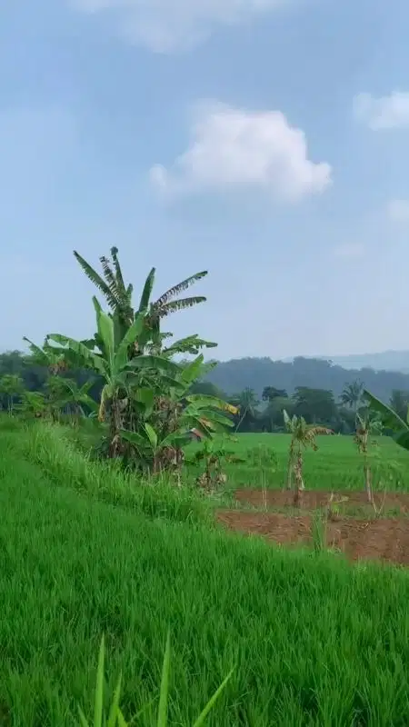 Dijual Tanah lokasi wisata Megamendung Cisarua puncak