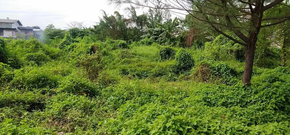 5,7jtm‼️Tanqh Murah Kebonsari Surabaya