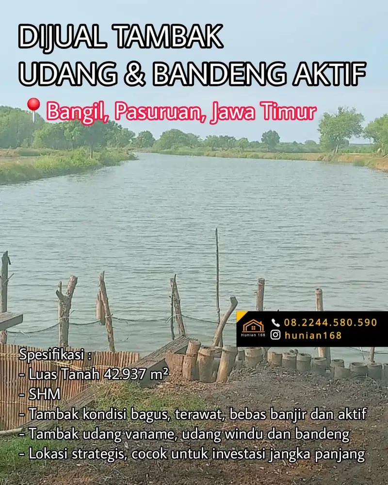 Tanah Tambak Udang Vaname Bandeng Ikan Aktif Produktif Bangil Pasuruan