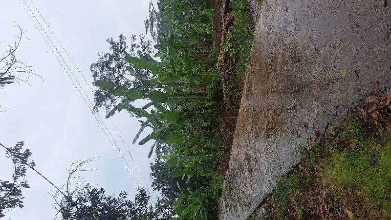 KAVLING BAGUS SIAP BANGUN DEKAT KAMPUS UNNES