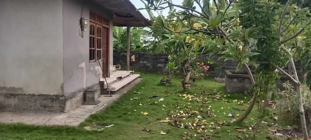 Jual tanah batu bulan gianyar 4are