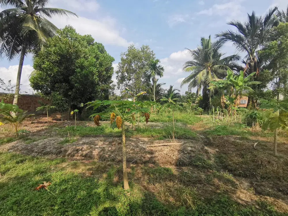 Dijual Tanah Siap Bangun Jl.Padat Karya Talang Jambe Palembang