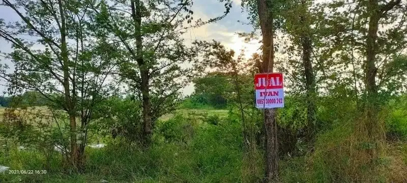 Pasuruan. Lahan Industri. Depan Meiji