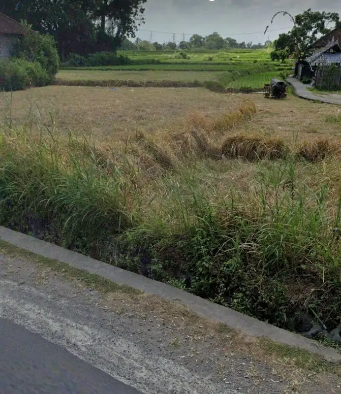 Tanah pinggir sungai