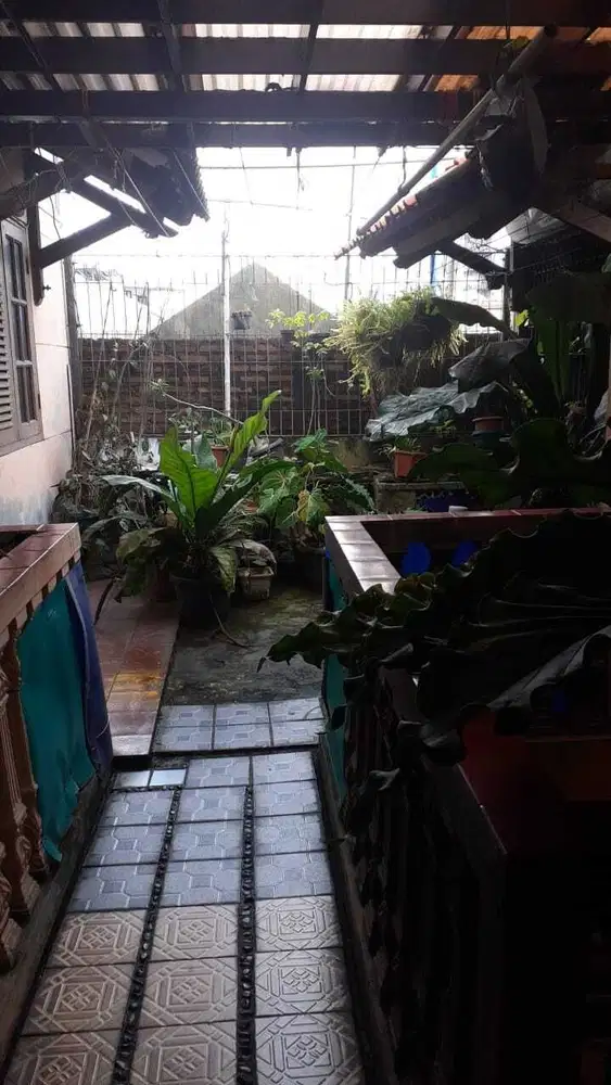 Dijual Rumah Strategis siap Huni dan cocok untuk Kost2an di Utan Kayu