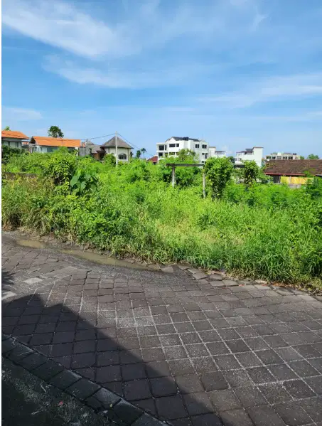 Tanah Murah 6 Are di Berawa Canggu