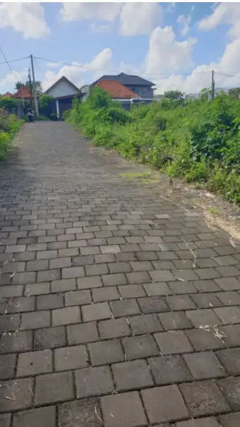Tanah Murah di Berawa Canggu