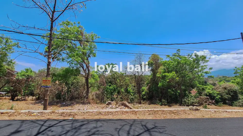 Tanah 15.000m² / Tanah di Tegal Linggah, Buleleng, Bali