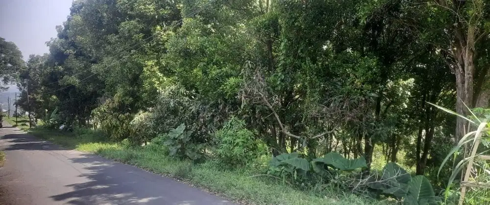 Tanah Matang Siap Bangun Lembang