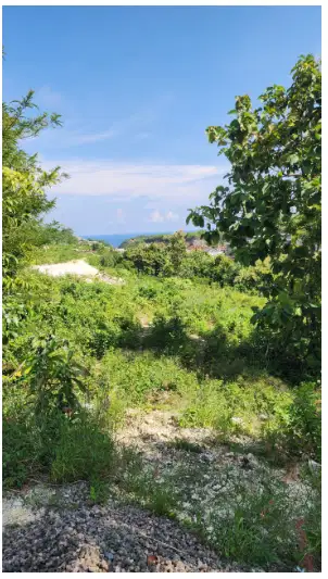 Tanah 20 are di Ungasan