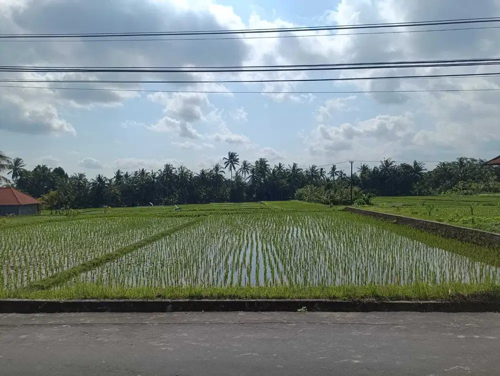 LAND FOR SALE IN ANDONG UBUD BALI
