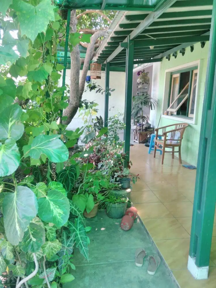 Rumah dijual cepat dekat SMA Ksatria Semarang, 950 Jutaan