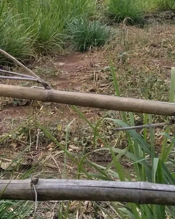 Dijual tanah seluas 5.100M², berlokasi di Bilaya Pattalasang,  Gowa