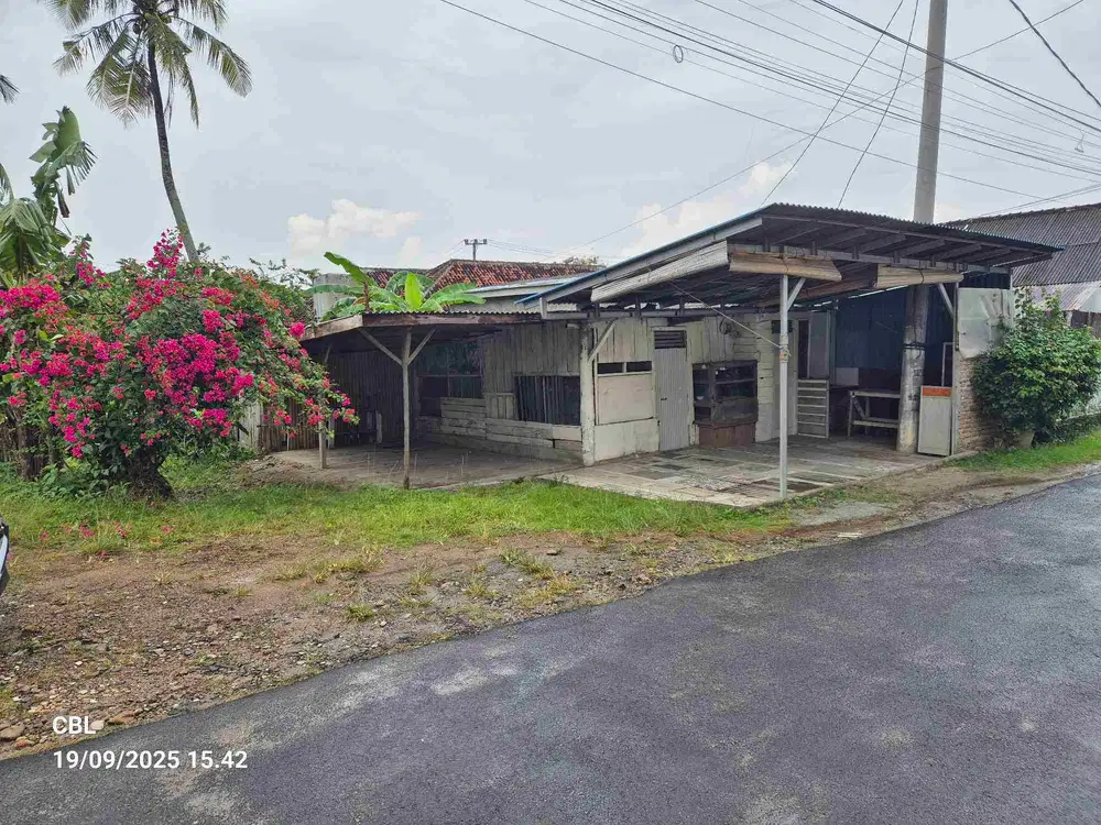 TANAH DI UNILA KAMPUNG BARU