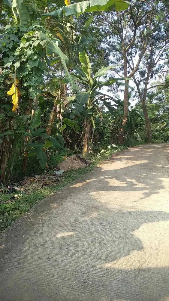 Di Jual Murah Tanah Lt 1100m,Dekat Gerbang Toll