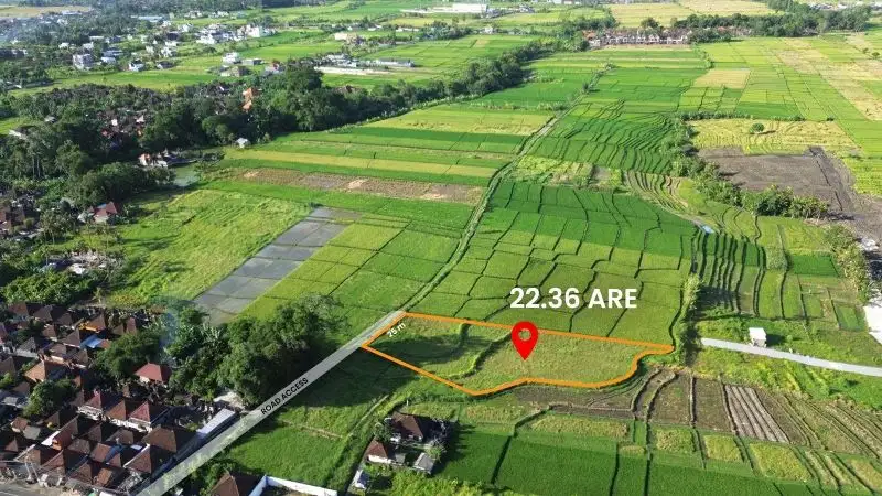 Dijual Tanah di Kedungu, Desa Belalang