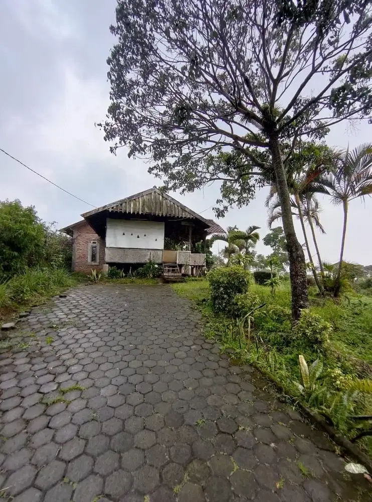 anah Matang Siap Bangun Lembang