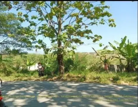 Dijual Tanah Perumahan Jl. Kompol R. Soekanto Tembalang Semarang