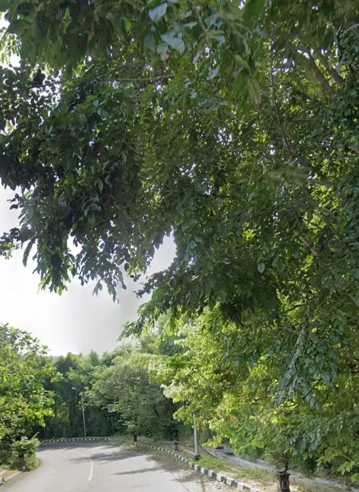 Dijual Tanah Luas Lokasi Sadeng Gunung Pati Semarang
