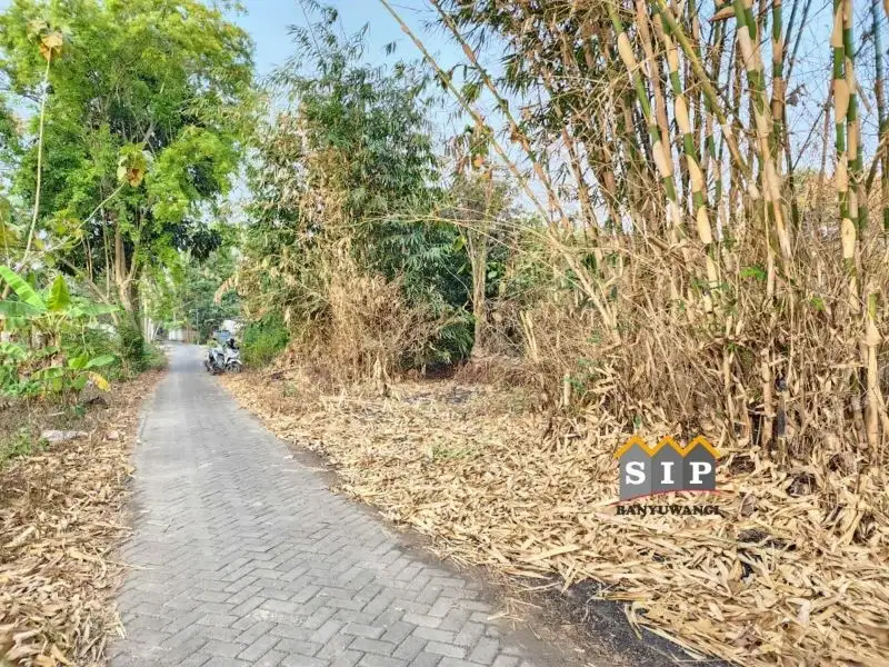 Dijual Tanah di belakang UBI Sraten Banyuwangi