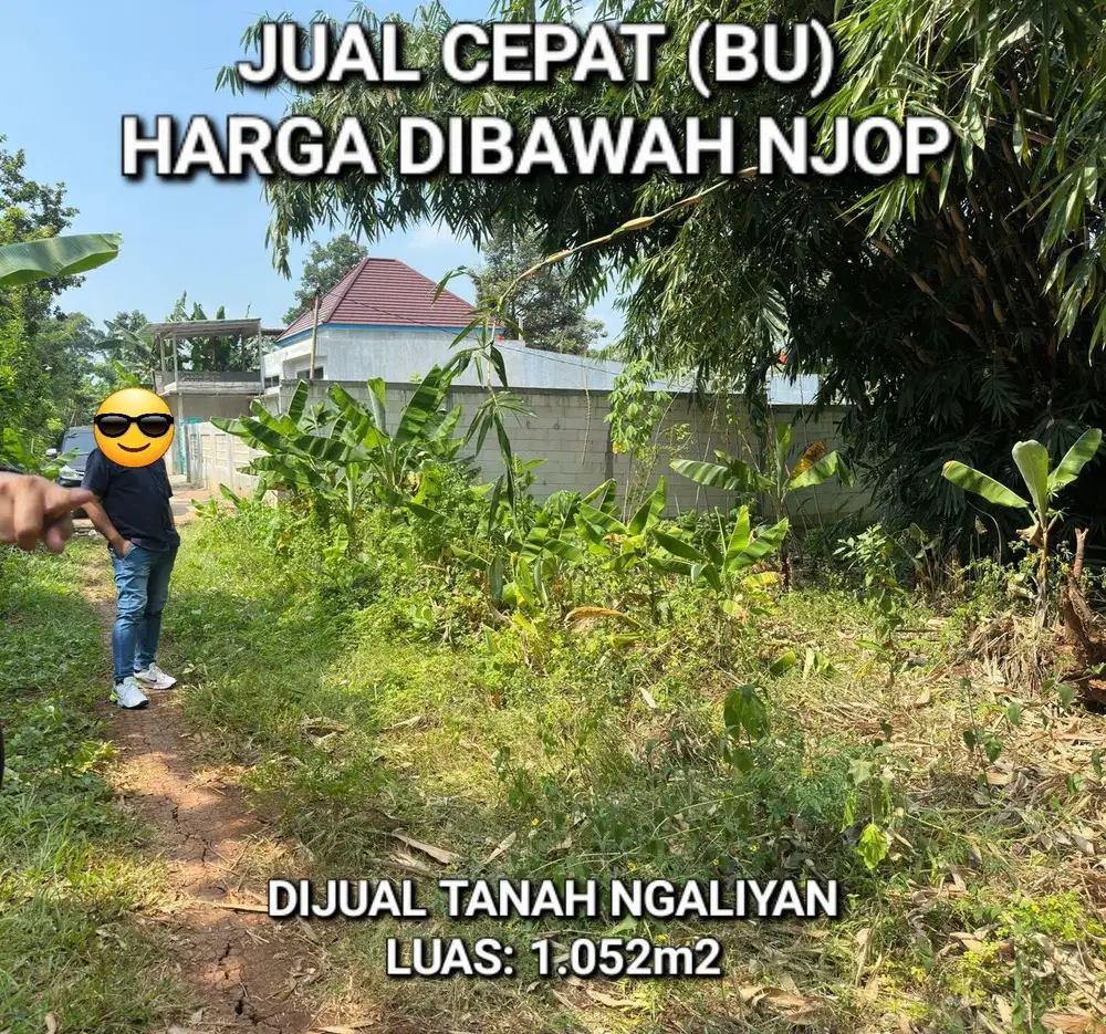 DIJUAL TANAH NGALIYAN, SEMARANG, ZONA KUNING
