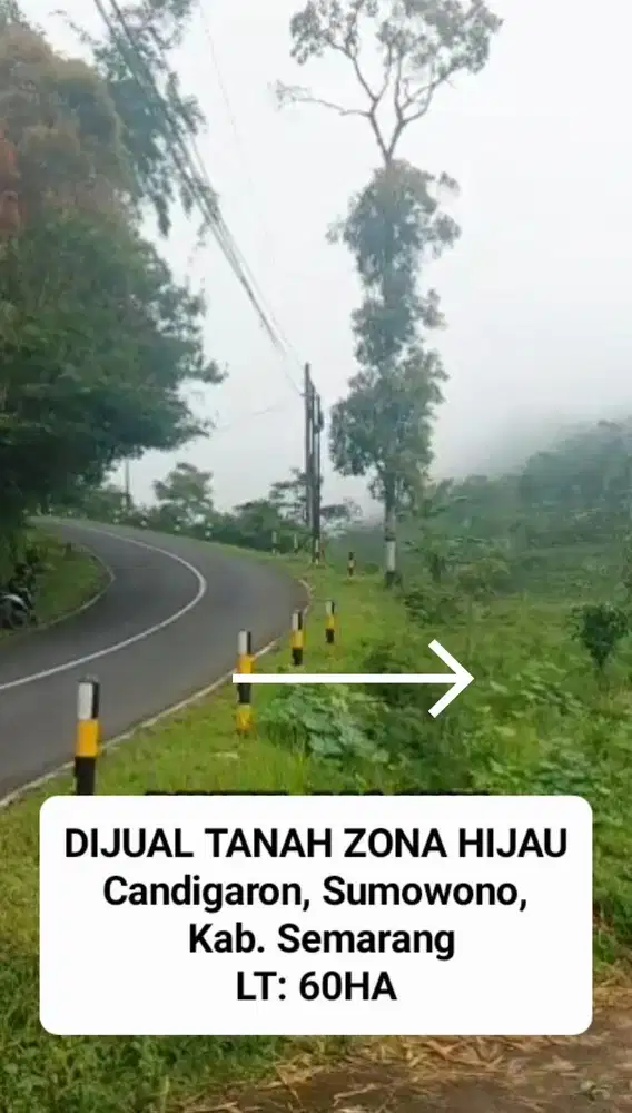 DIJUAL TANAH ZONA HIJAU/ PERKEBUNAN/PERTANIAN 60HA, SUMOWONO, SEMARANG