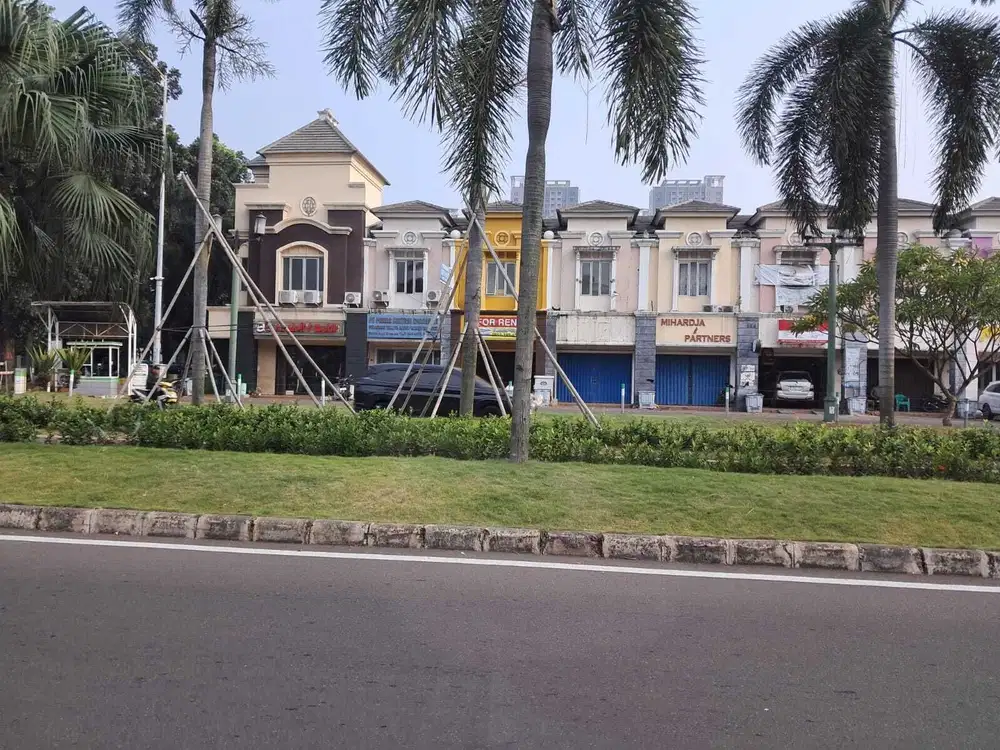 Disewakan Ruko Alexandrite Depan Mall SMS Lokasi Strategis