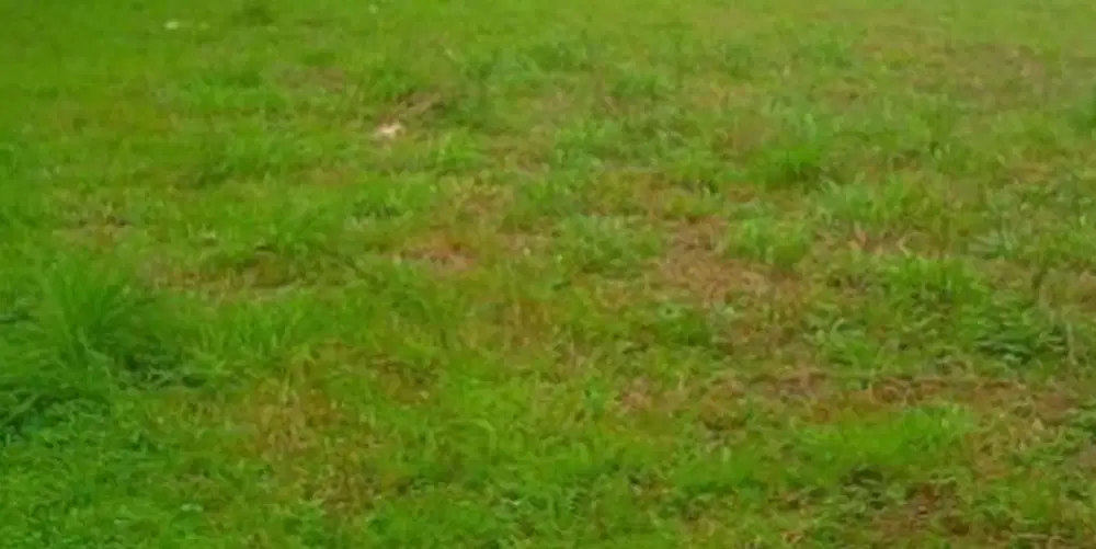 Kavling Commercial Area Bukit Telaga Golf Citraland Utama, Surabaya Ba