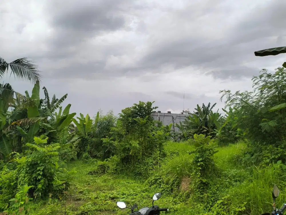 Dijual Tanah Di Lokasi Strategis Di Pantai Nyanyi